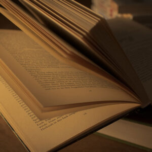 Property Law Sections